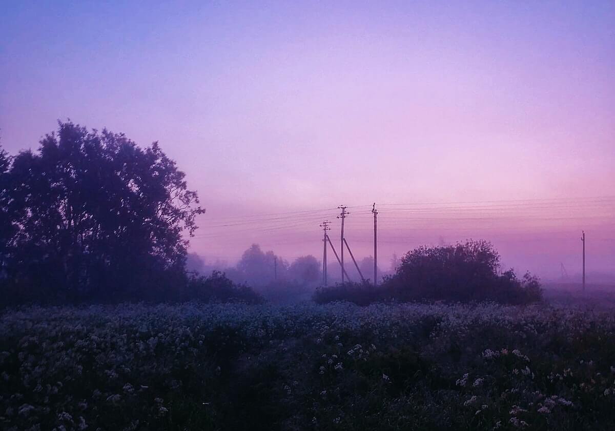 发现游戏的另一种可能：九游体育官网带你畅游指尖世界